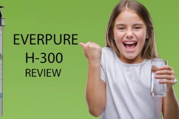 2020年Everpure H300评论